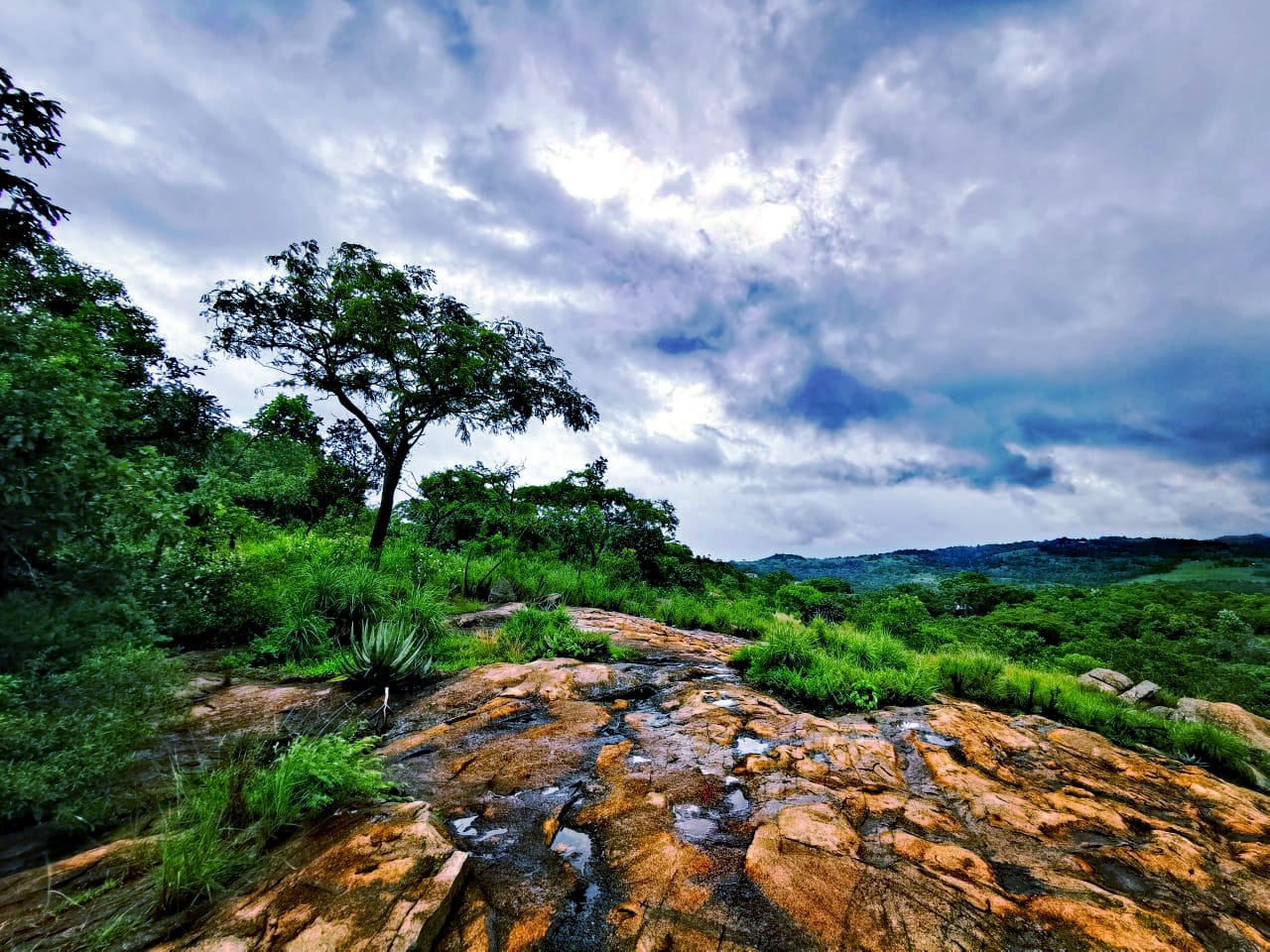 A lush, green farm landscape providing a sense of health and nature for the hero background.